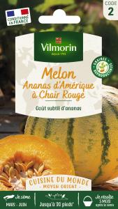 Melon Ananas - Cuisine du Monde
